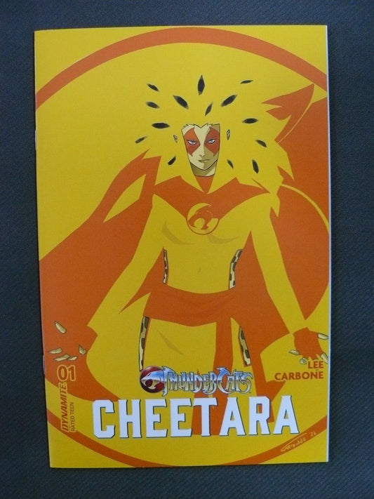 Thundercats Cheetara #1