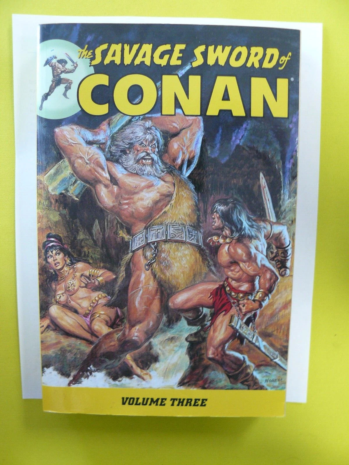 Savage Sword of Conan Vol 3 GN
