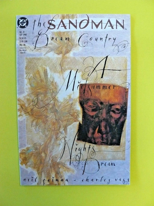 Sandman #19