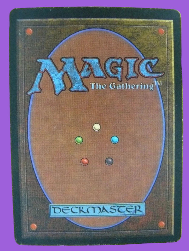 Birds of Paradise back