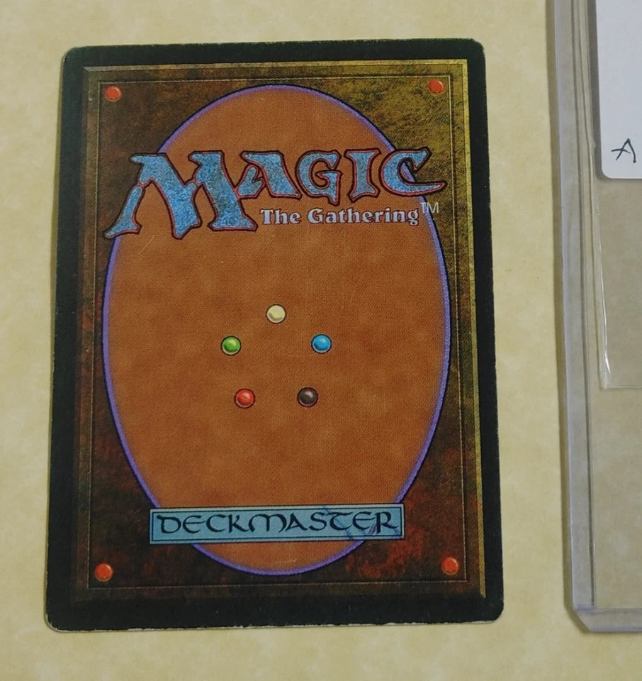 Bayou — Revised (3rd) Edition