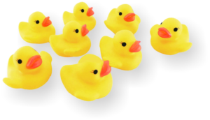 duckies-yellow